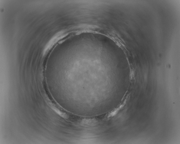 X0000067390101200604131942