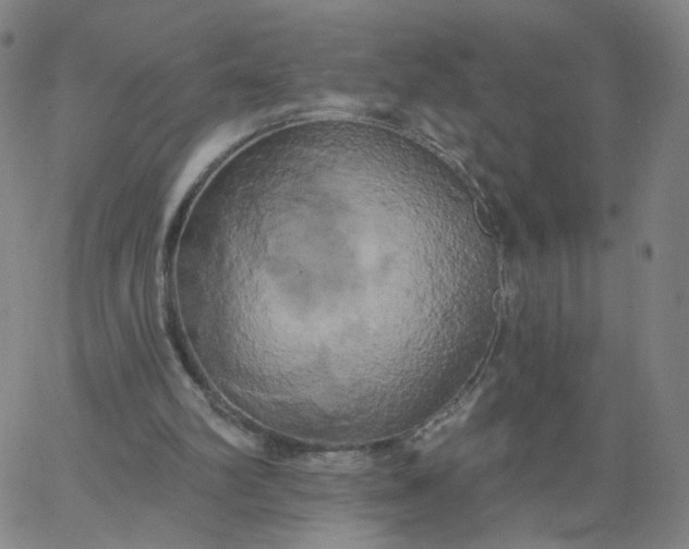 X0000067390102200604131941