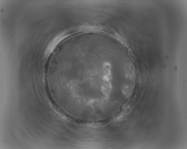 X0000067390103200604131941