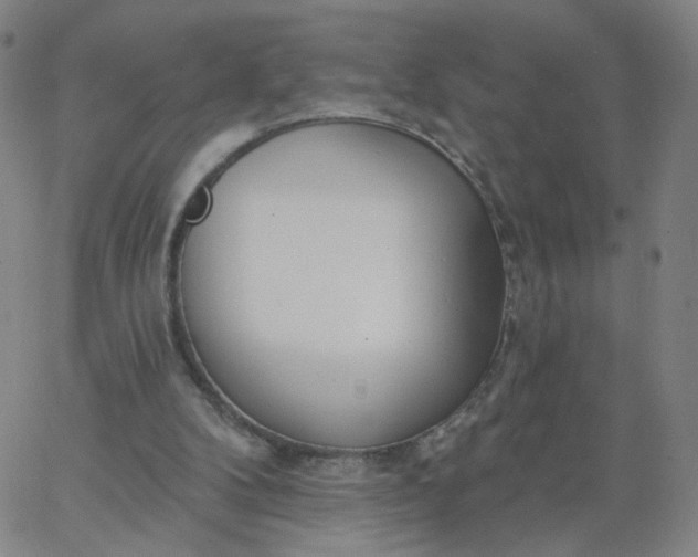 X0000067390104200604131941