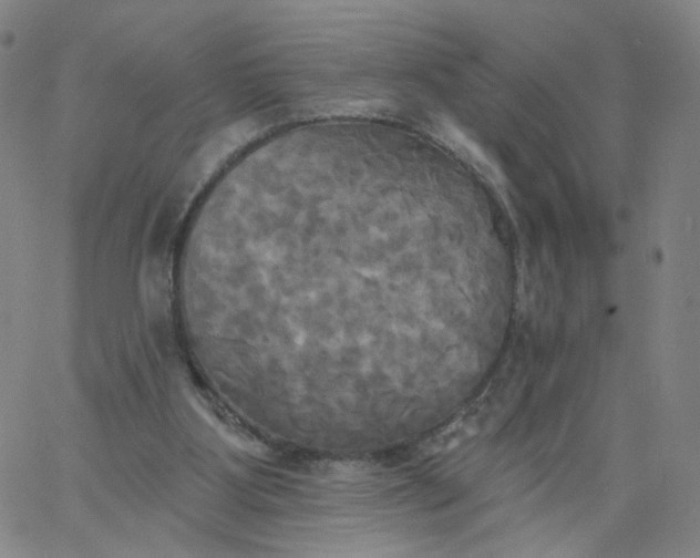 X0000067390107200604131941