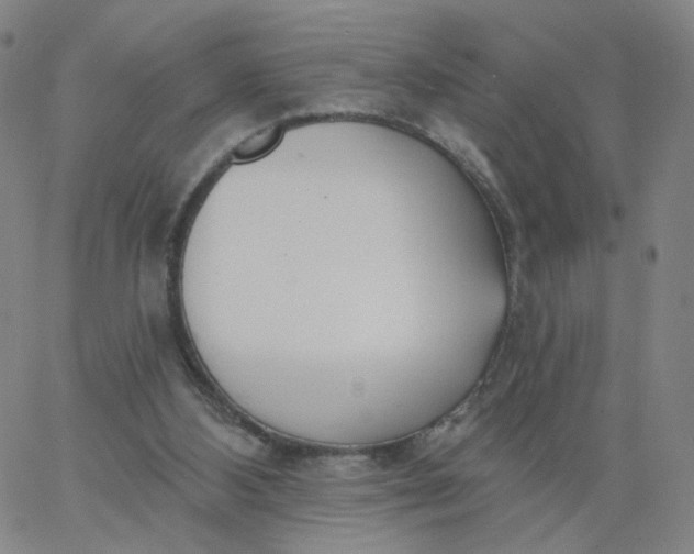 X0000067390108200604131941