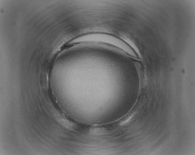 X0000067390109200604131941