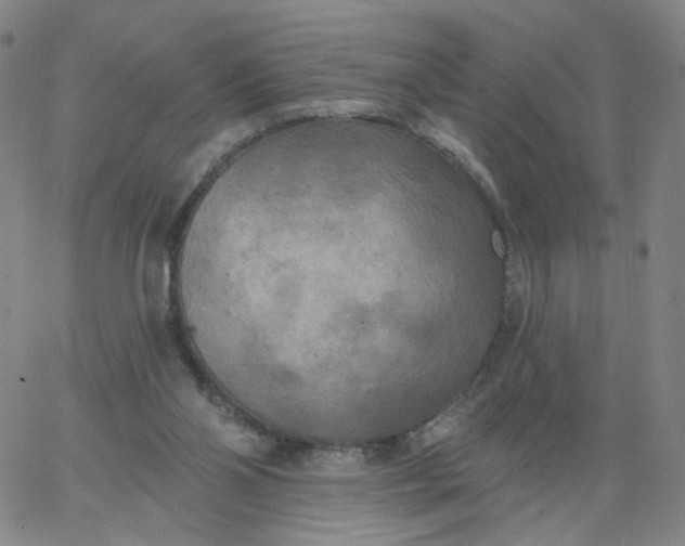 X0000067390110200604131941