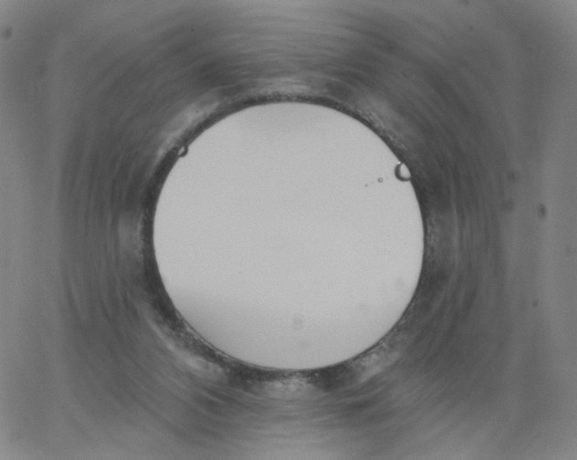 X0000067390112200604131941