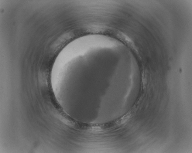 X0000067390114200604131941