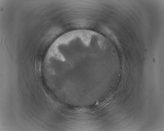 X0000067390115200604131941