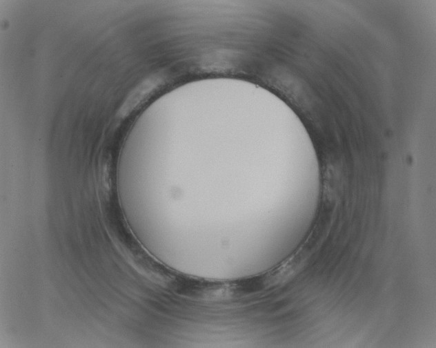 X0000067390116200604131941