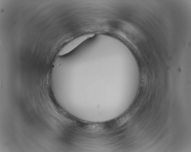 X0000067390117200604131941