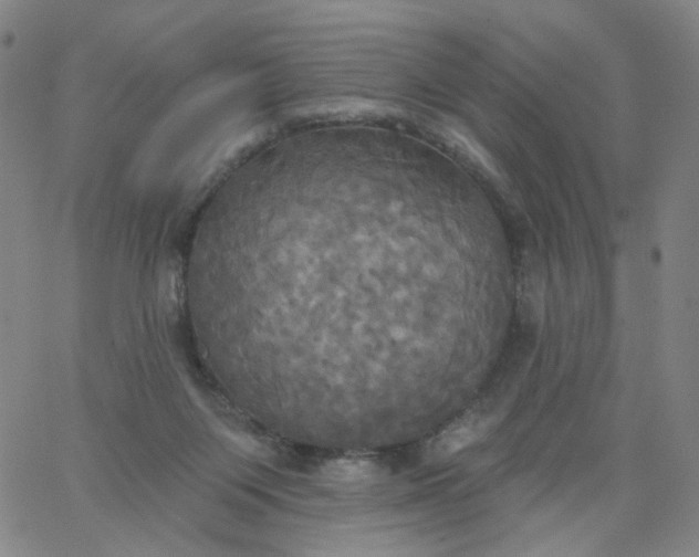 X0000067390119200604131941