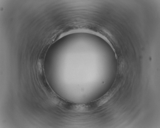 X0000067390121200604131941