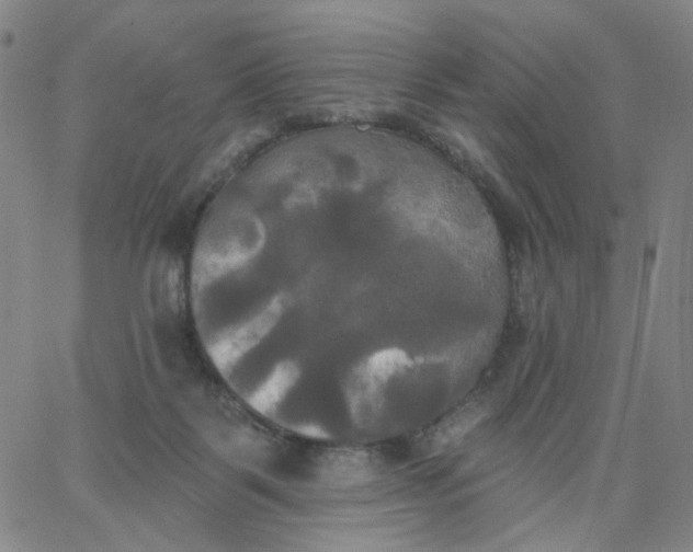 X0000067390123200604131941