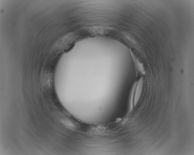 X0000067390125200604131941