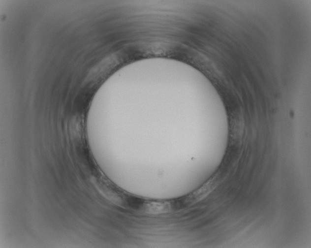 X0000067390126200604131941