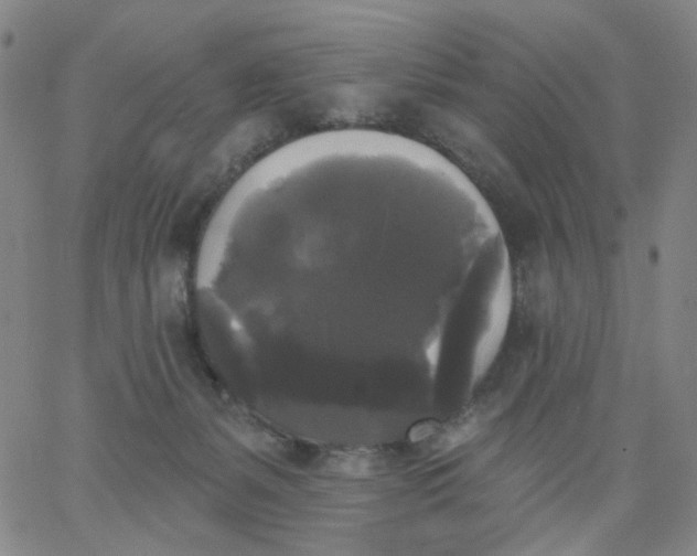 X0000067390127200604131941