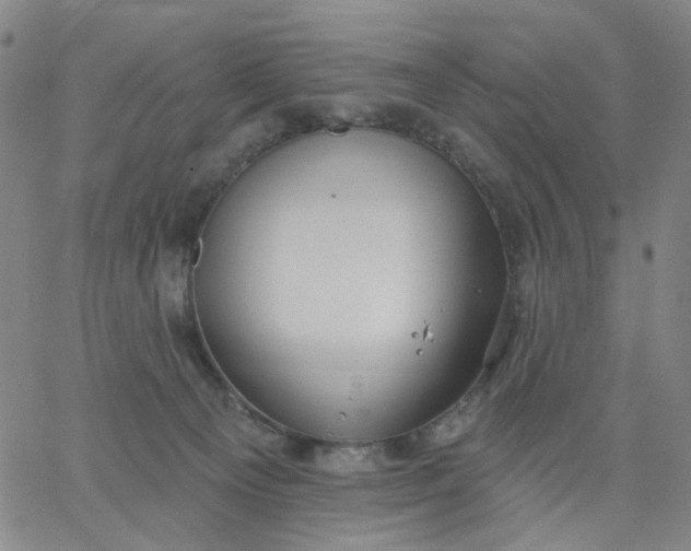 X0000067390129200604131941