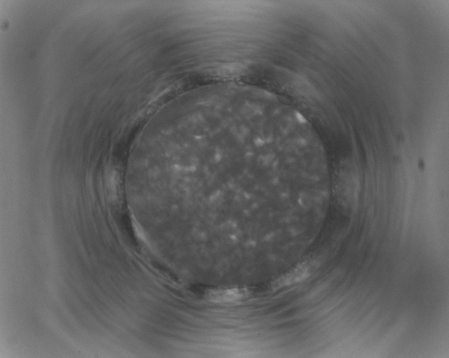 X0000067390131200604131941