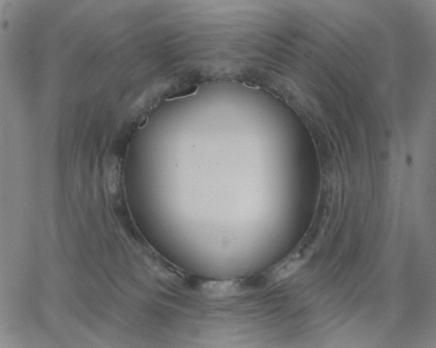 X0000067390133200604131941