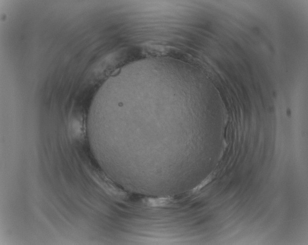 X0000067390134200604131941