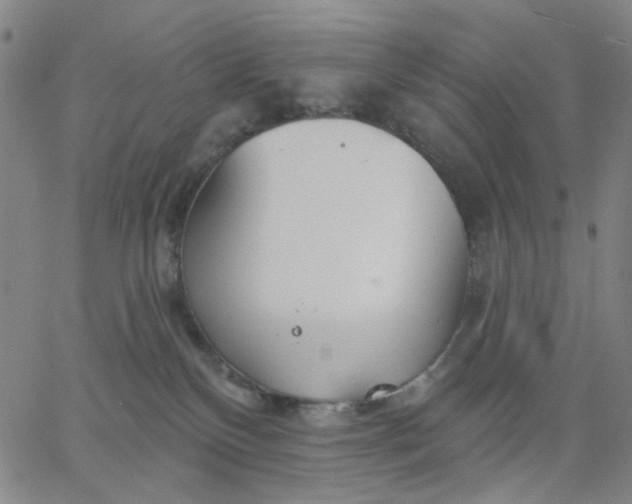 X0000067390136200604131941