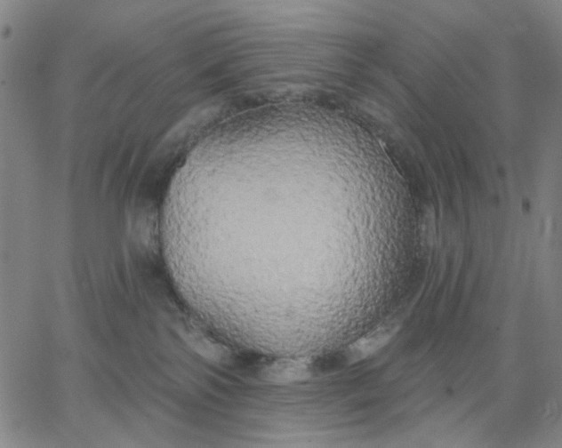 X0000067390138200604131941