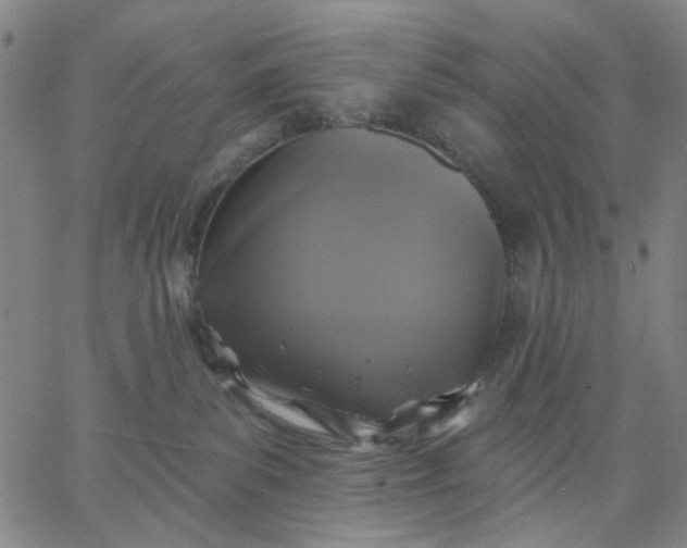 X0000067390139200604131941