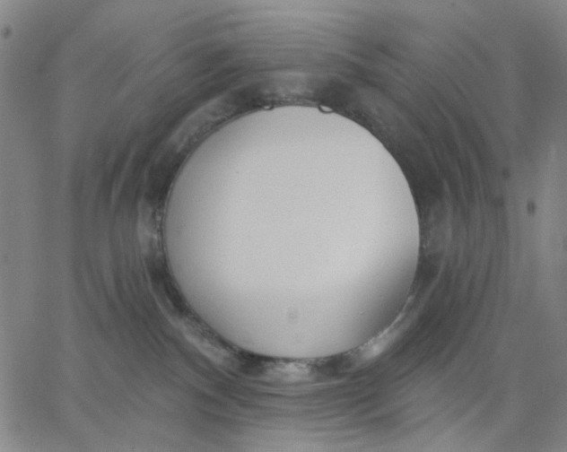 X0000067390140200604131941