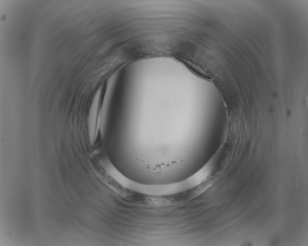 X0000067390141200604131941