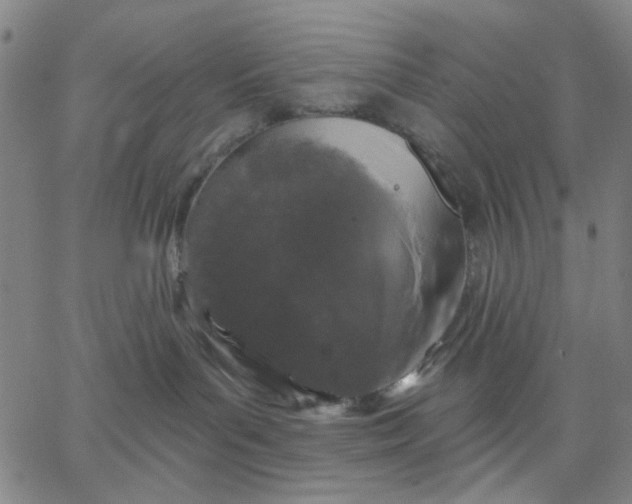 X0000067390143200604131941