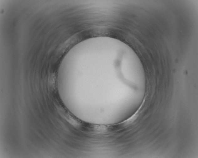 X0000067390144200604131941