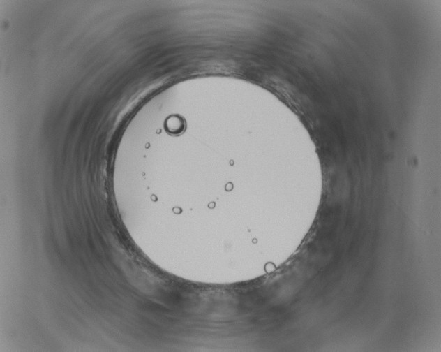 X0000067390146200604131940