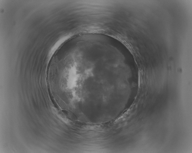 X0000067390147200604131940