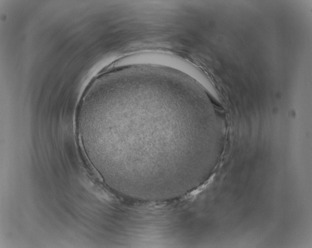 X0000067390148200604131940