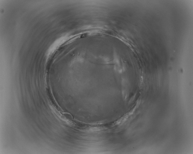 X0000067390149200604131940