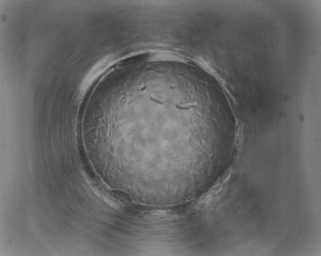 X0000067390151200604131940