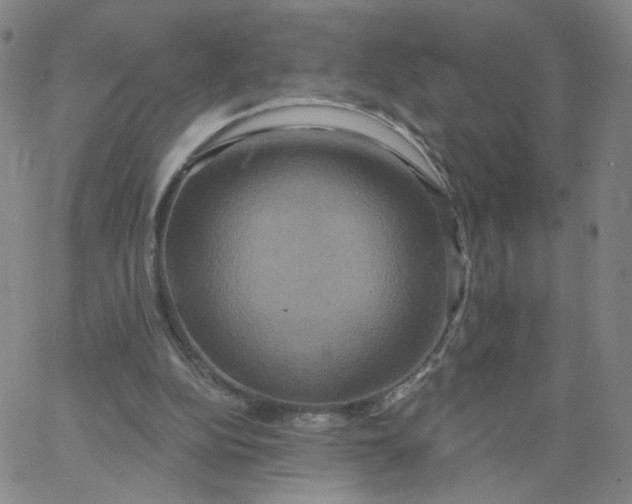 X0000067390152200604131940