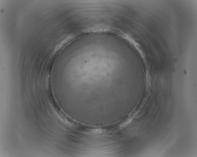 X0000067390153200604131940