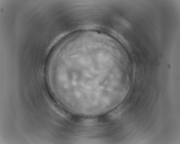 X0000067390155200604131940