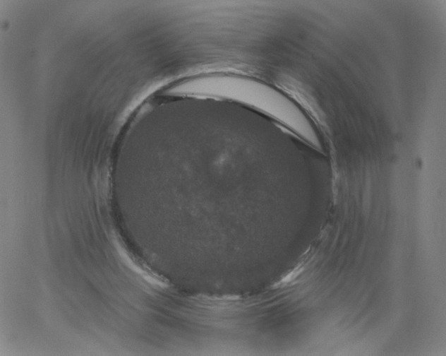 X0000067390156200604131940