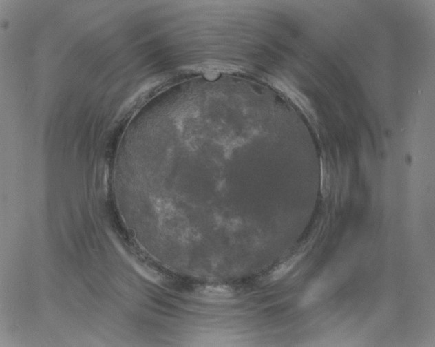 X0000067390157200604131940