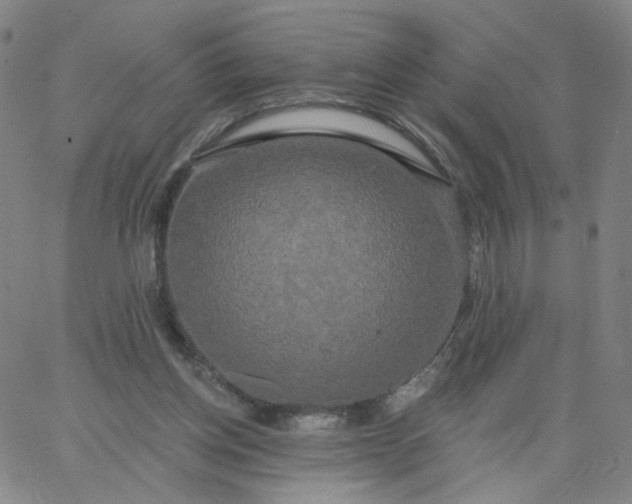 X0000067390158200604131940