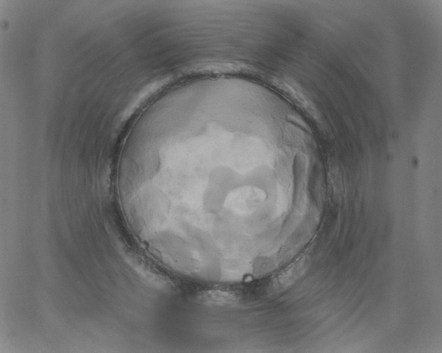 X0000067390159200604131940