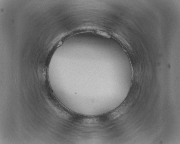 X0000067390160200604131940