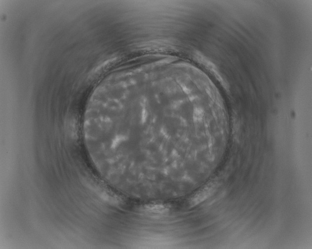 X0000067390161200604131940