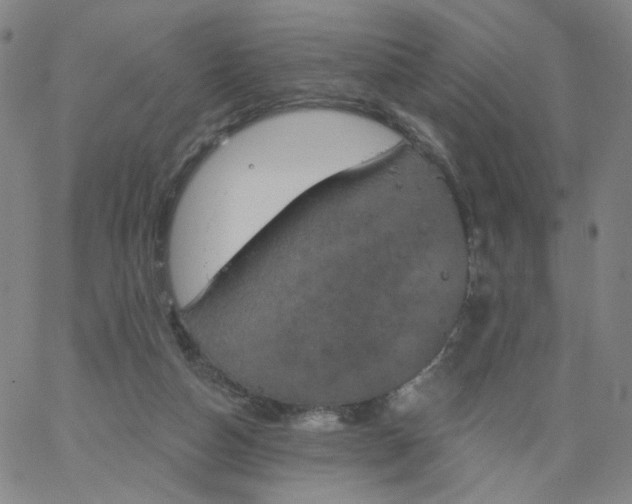 X0000067390162200604131940