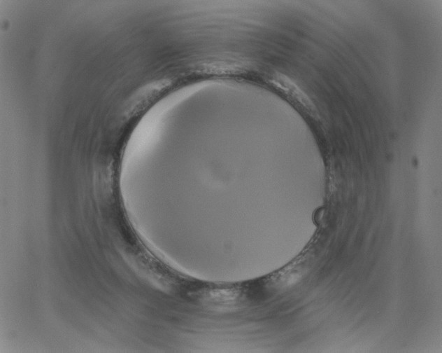 X0000067390163200604131940