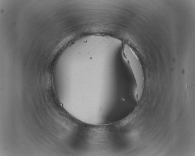 X0000067390164200604131940