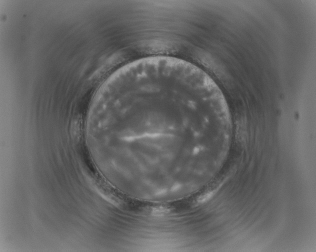 X0000067390165200604131940