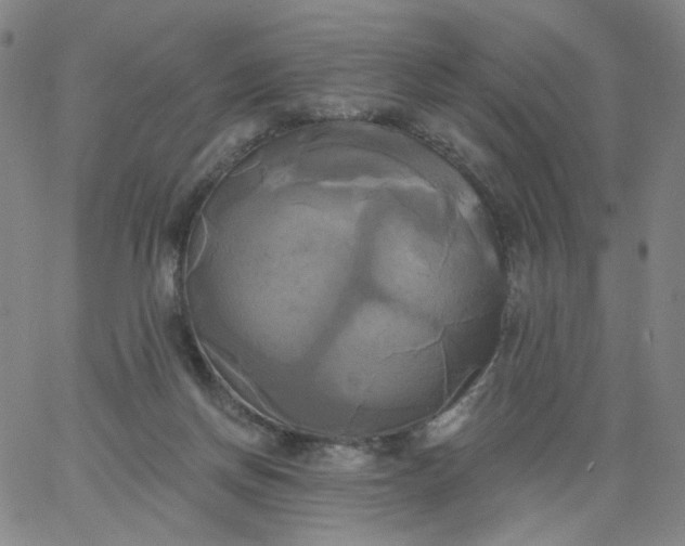 X0000067390166200604131940