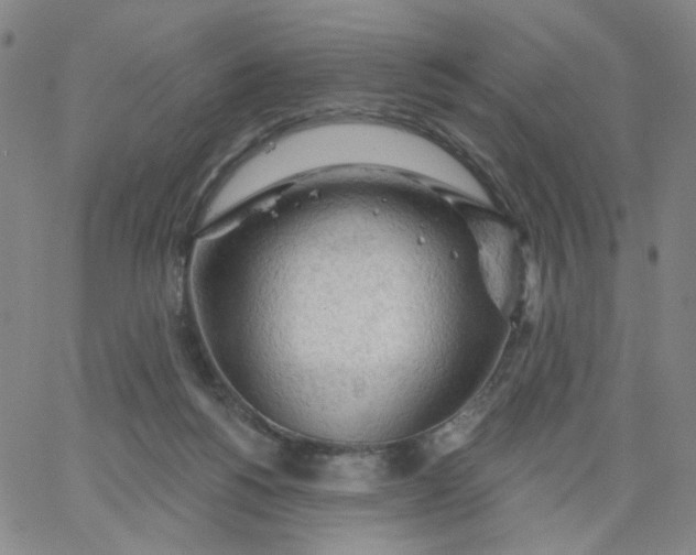 X0000067390168200604131940